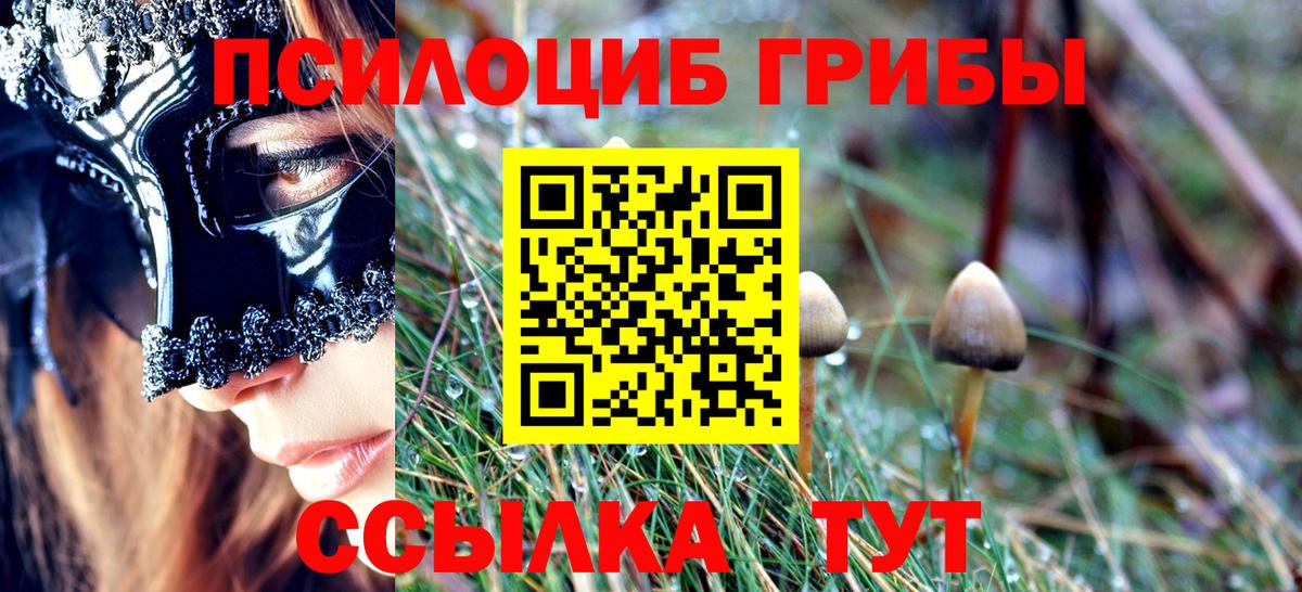 Гурьевск  Псилоцибиновые грибы прущие грибы  Вход с VPN  Галлюциногенные грибы MAGIC MUSHROOMS 